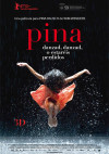 Cartel de Pina