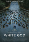 Cartel de White God